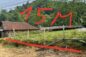 CHÍNH CHỦ cần bán gấp đất tại Khu Nưa Hạ, Xã Tân Lập, Thanh Sơn, Phú Thọ.